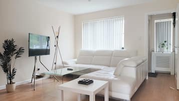 Smart TV, computer monitors