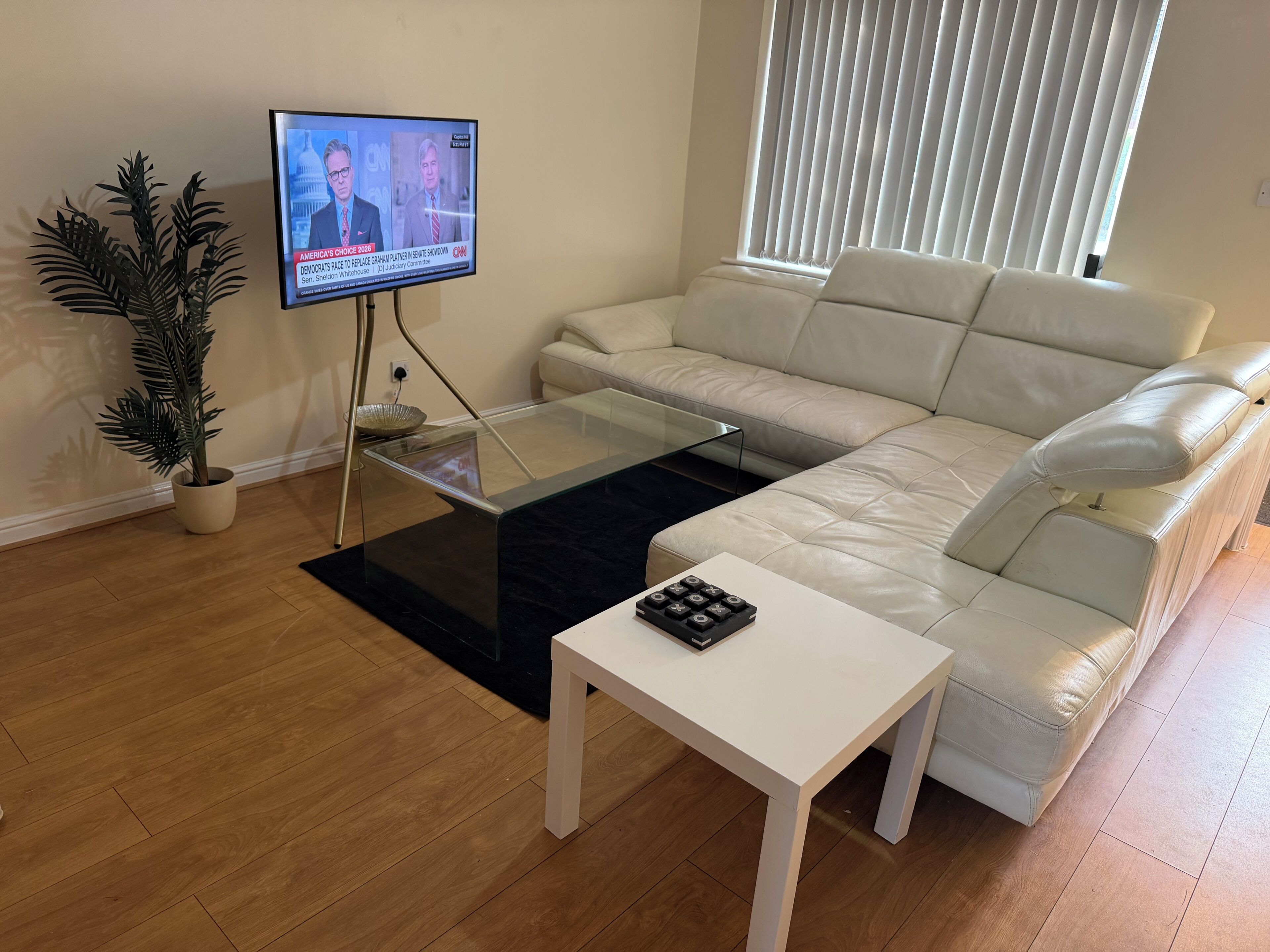 Smart TV, computer monitors