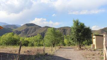 Un paisaje rural con un camino de tierra que lleva a un edificio, rodeado de árboles y montañas.
