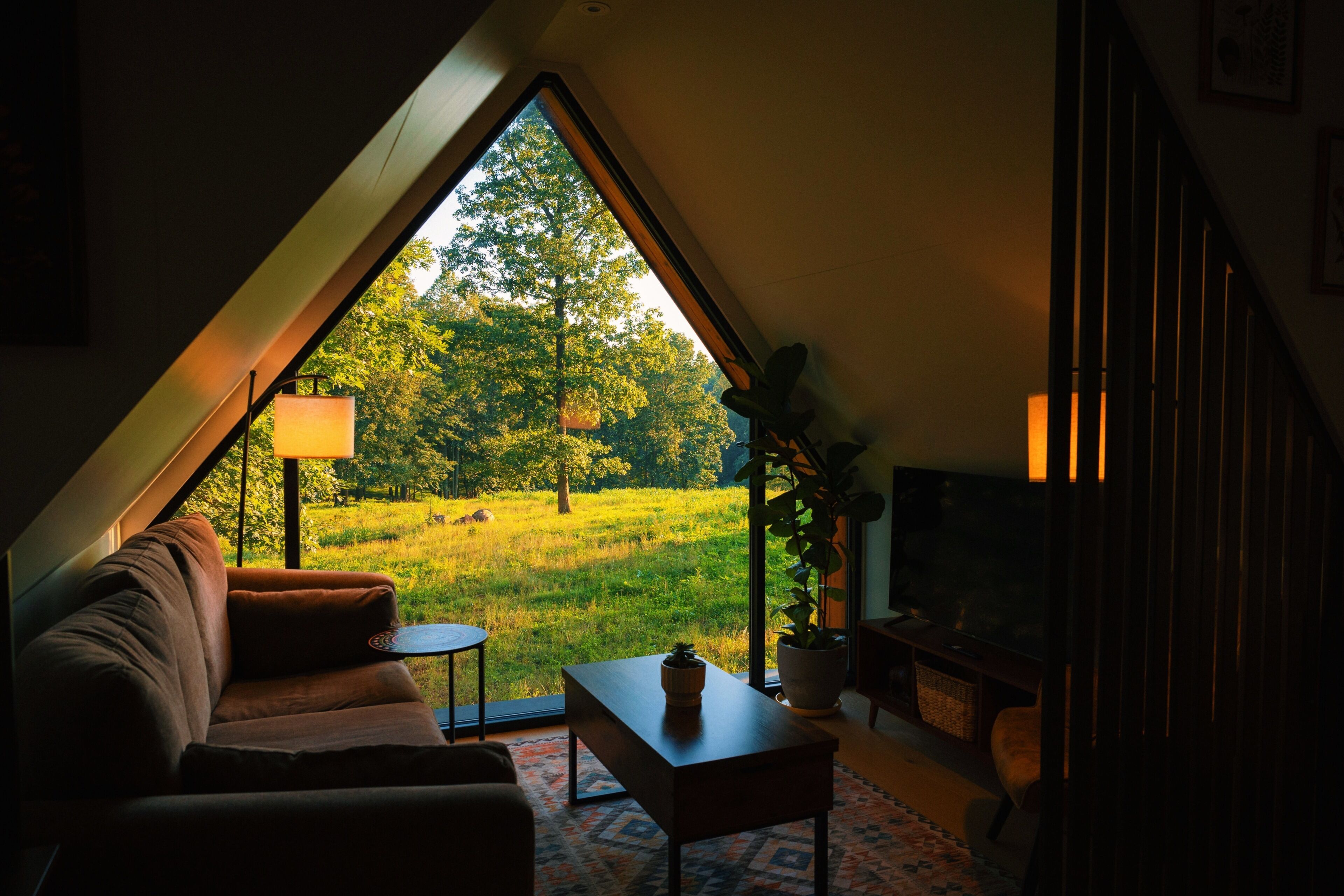 TV, livros
