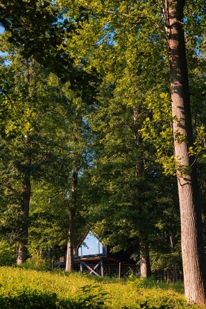 A rural setting with a wooden barn structure surrounded by tall trees and a grassy field.