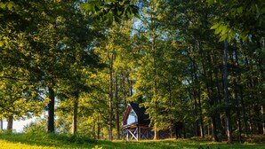 Eine Holzhütte, umgeben von hohen Bäumen in einem Wald.