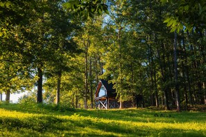 A cabin surrounded by tall trees in a forest. - Bison Farm - Cabin "Cielo" (Culpeper)