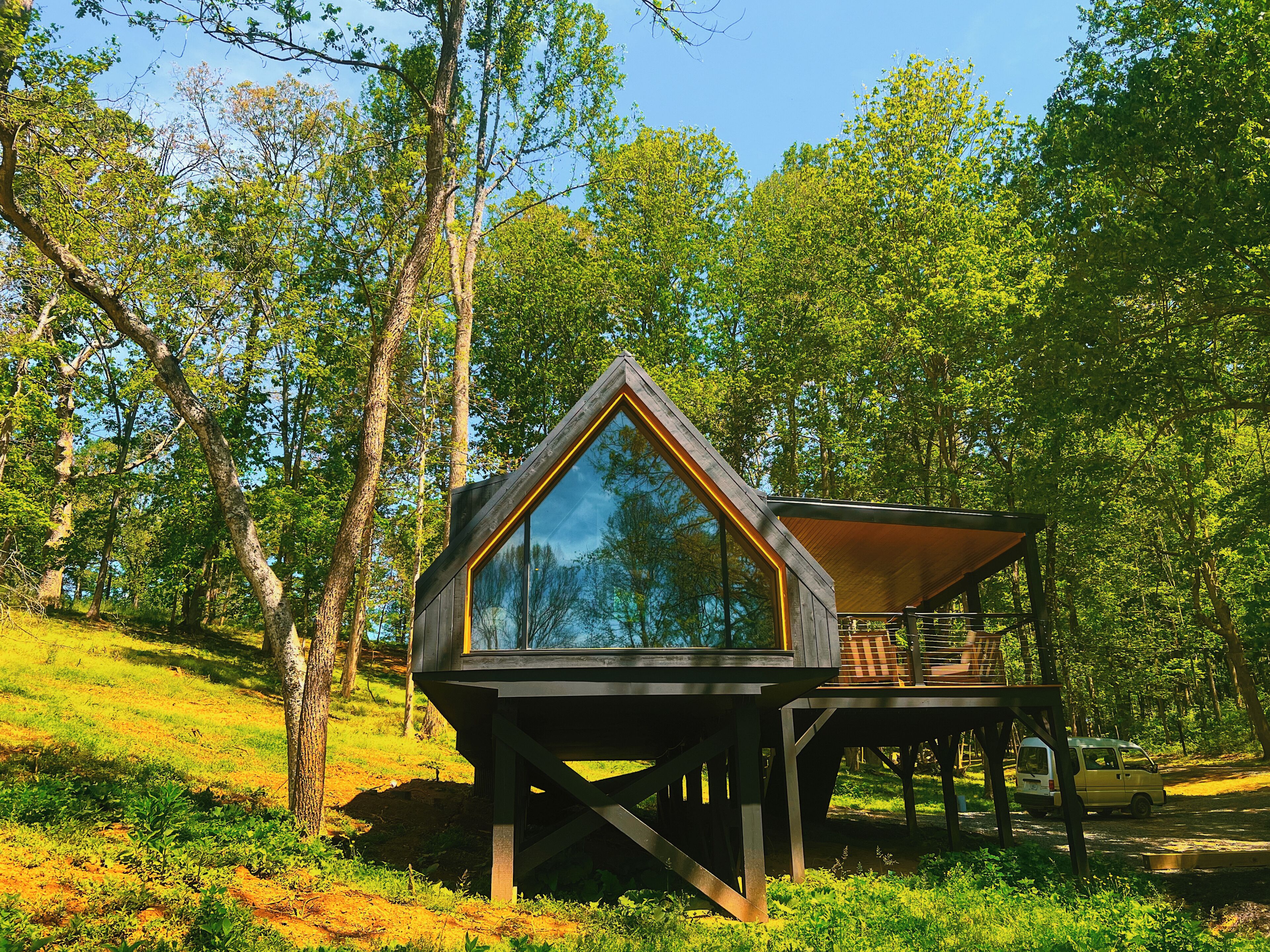 Une cabane en bois perchée dans un arbre, dotée d’une structure en verre, située dans une zone boisée sous un ciel dégagé.