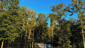 Een chalet omgeven door dicht bos, met een heldere lucht.