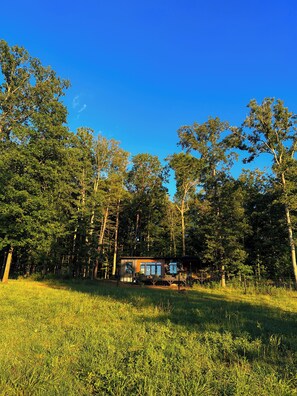 A cabin surrounded by dense forest with a clear sky. - Bison Farm - Vista Cabin (1 BR option) (Culpeper)