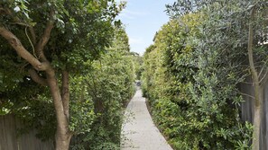 Um caminho estreito ladeado por vegetação densa e uma cerca de madeira, que leva a uma construção distante.