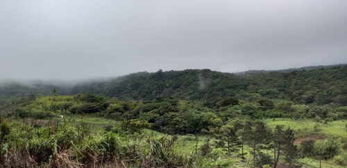 Tranquil 2-bedroom House Retreat Near S