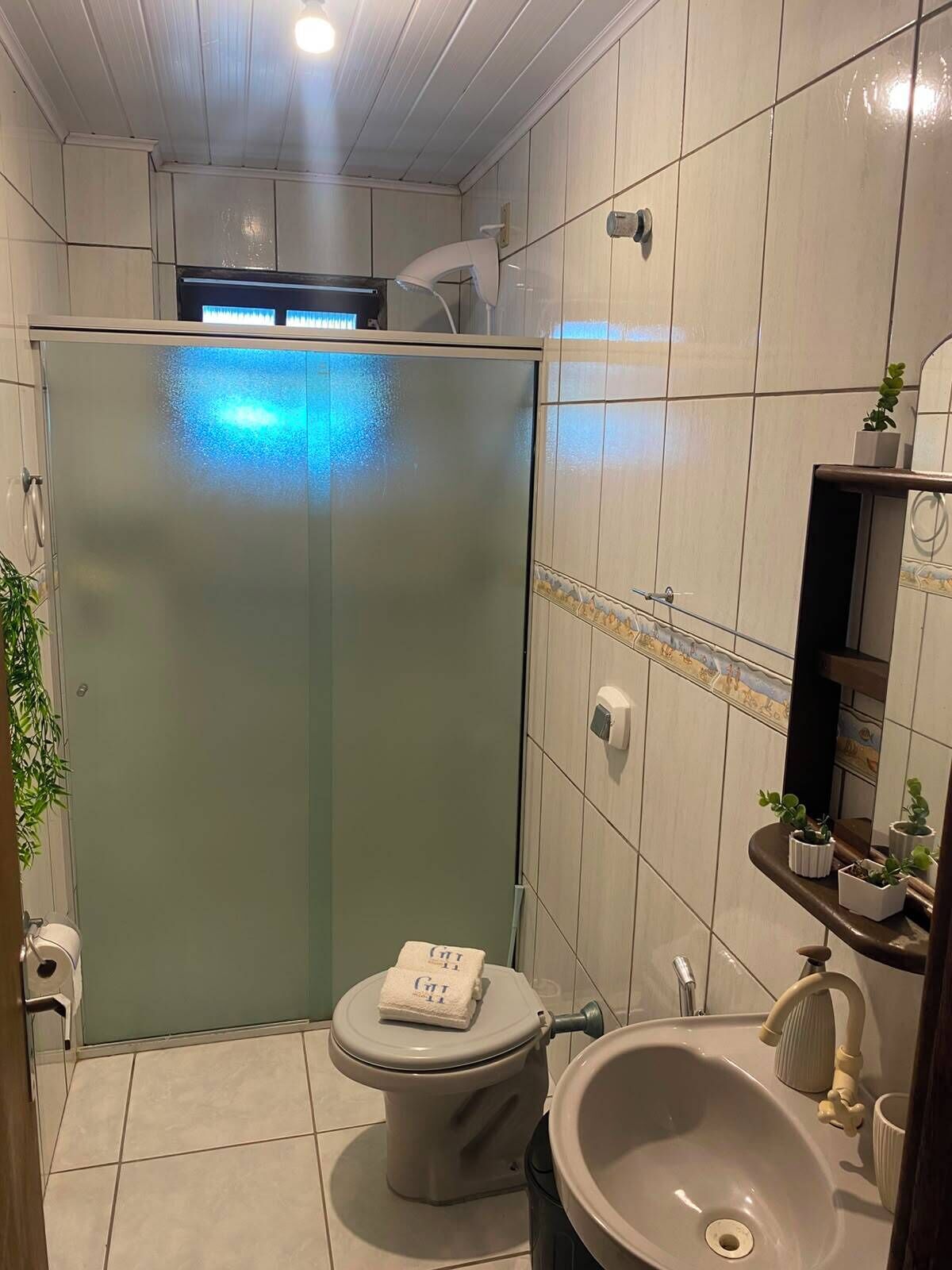 Chuveiro, bidê, toalhas de banho, papel higiênico