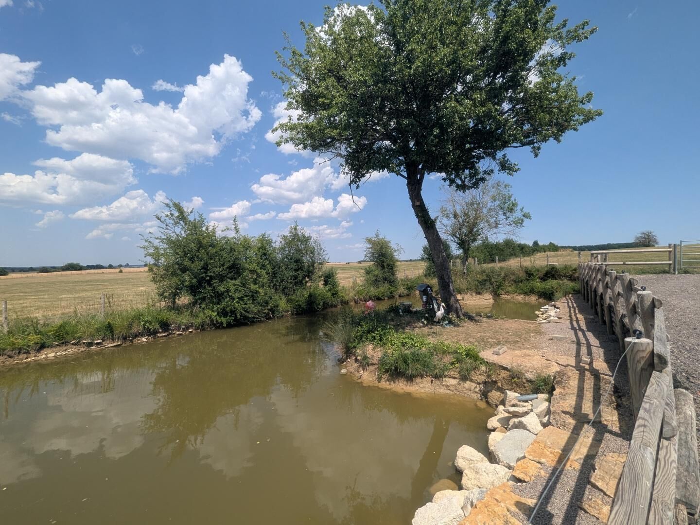 Eine ländliche Landschaft mit Teich, Holzzaun und Baum.