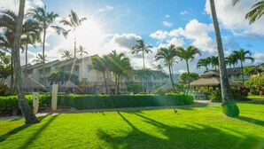 A resort with a well-maintained lawn, palm trees, and a building with a thatched roof. - New***Islander on the Beach 315-Top Floor Corner Mountain View with AC Sleeps 4 (Kapaa)