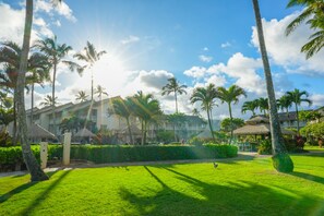 A resort with a well-maintained lawn, palm trees, and a building with a thatched roof. - New***Islander on the Beach 315-Top Floor Corner Mountain View with AC Sleeps 4 (Kapaa)