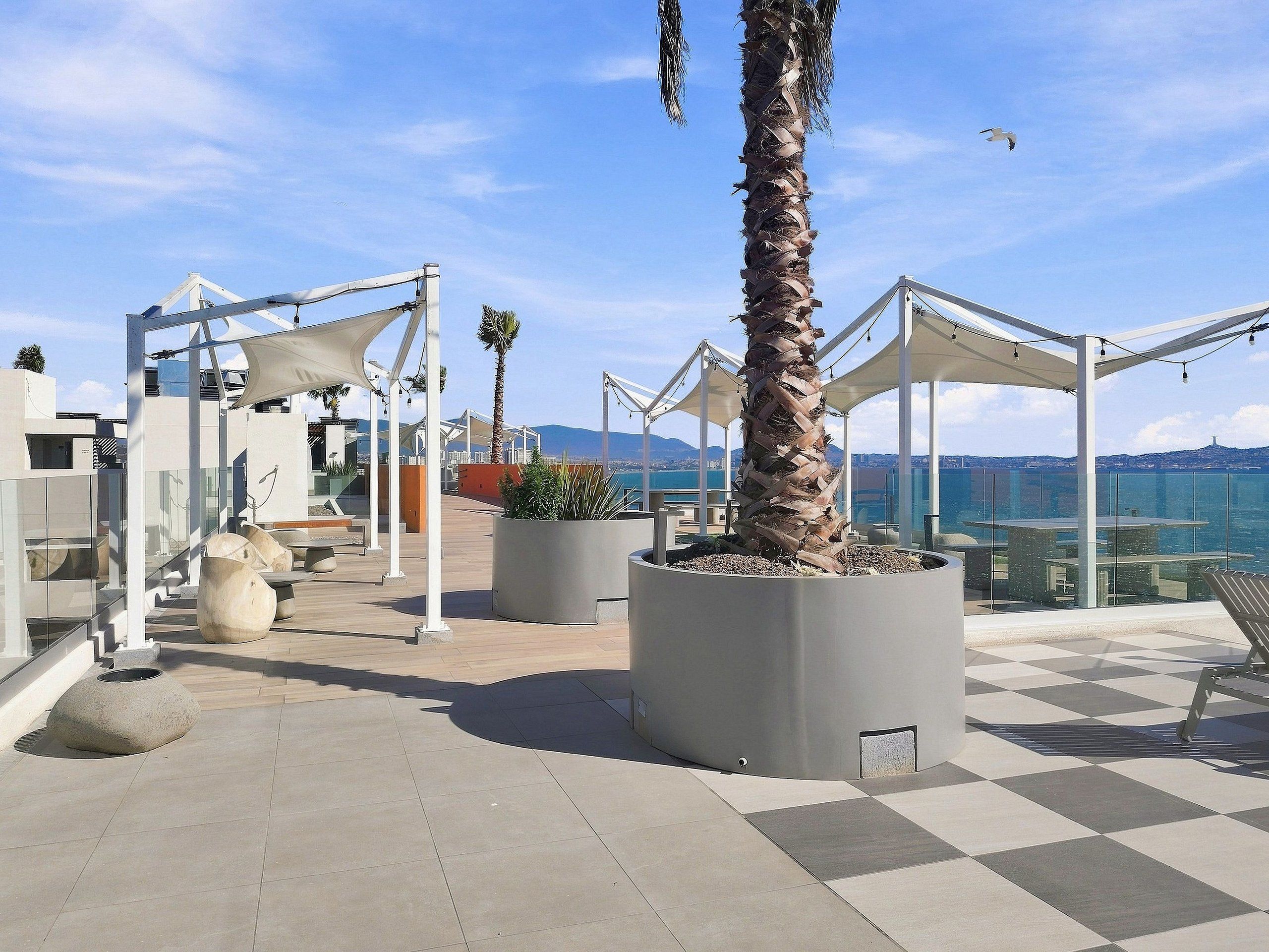 Une terrasse sur le toit, agrémentée d’un palmier, avec des sièges extérieurs et une vue sur la mer.