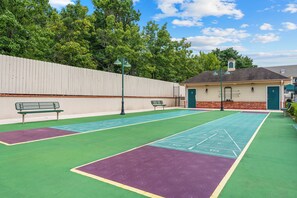 Sports court - Family Getaway | 2BR + Loft Near the Branson Strip (Branson)