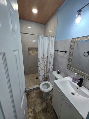 Et badeværelse med bruser, toilet, håndvask og spejl.