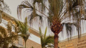 Un edificio con fachada de ladrillo, varios pisos y un ventanal circular.