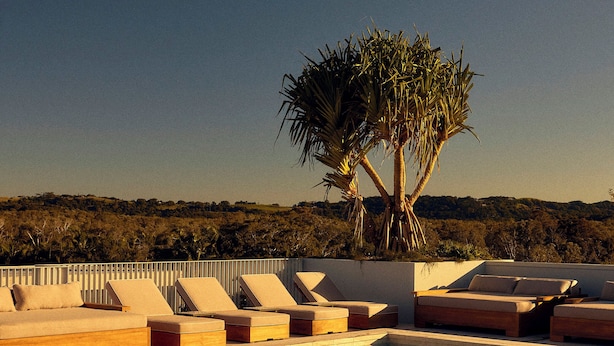 Un área de piscina con sillas de descanso y una palmera.
