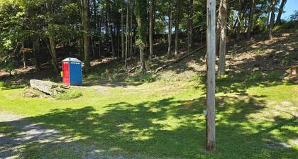 The Shady Lane A-Frame in Mt. Lookout. Glamping with A/C, queen bed, and more!