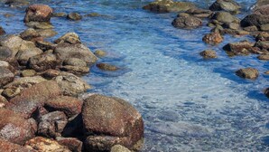 A coastal landscape with clear blue water, rocky shore, and distant mountains. - Casa Morgandez 5BD - Iyari Punta Mita (Punta de Mita)