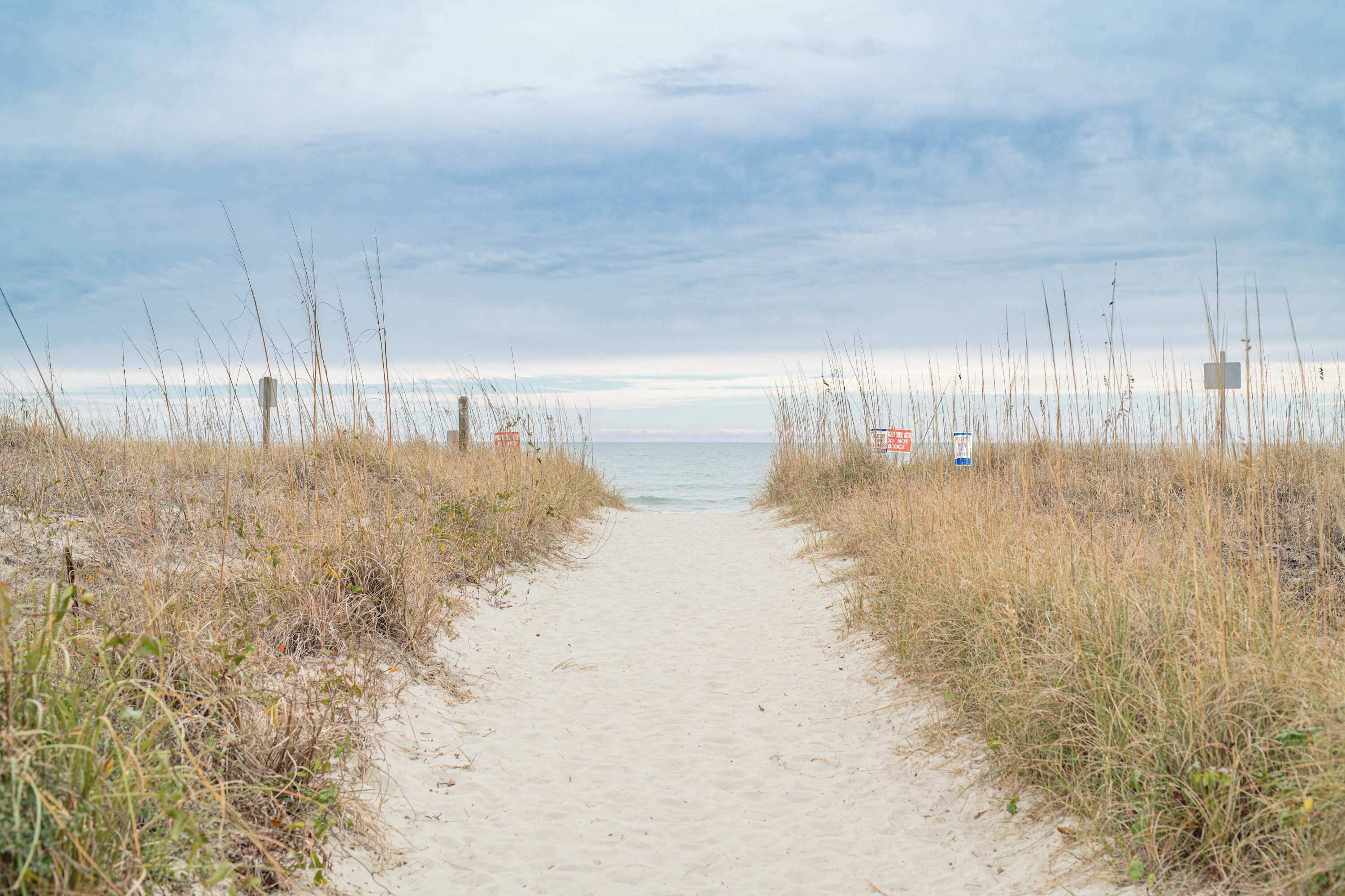 A sandy path leading to the sea, flanked by tall grasses and a cloudy sky.