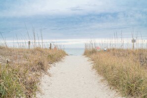 Een zandpad dat naar de zee leidt, omzoomd door hoge grassen en een bewolkte lucht.