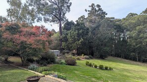Ein gepflegter Garten mit verschiedenen Pflanzen und Bäumen, eine kleine Gartenhütte und eine Rasenfläche.