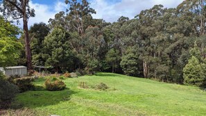 A grassy area with trees and a small shed.