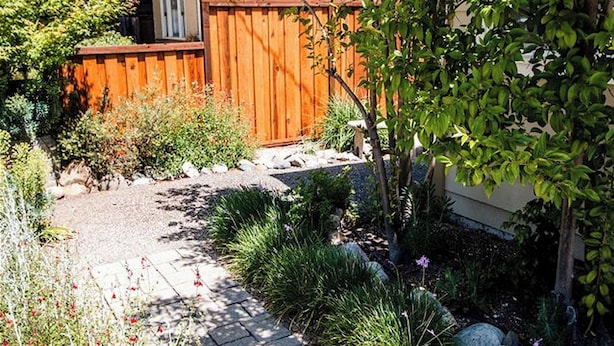 A garden with a wooden fence, various plants, a stone pathway, and a small shed. - Olive With a Twist by Avantstay Fenced Yard + Walk to Downtown Paso Robles (Paso Robles)