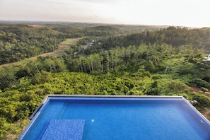 Pool - Starlit A Luxury Hilltop Villa with Infinity Pool (Weligama)