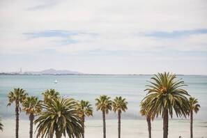 A beach with palm trees and a clear view of the water. - Swanston Sands Sophisticated Comfort by the Beach (Geelong)