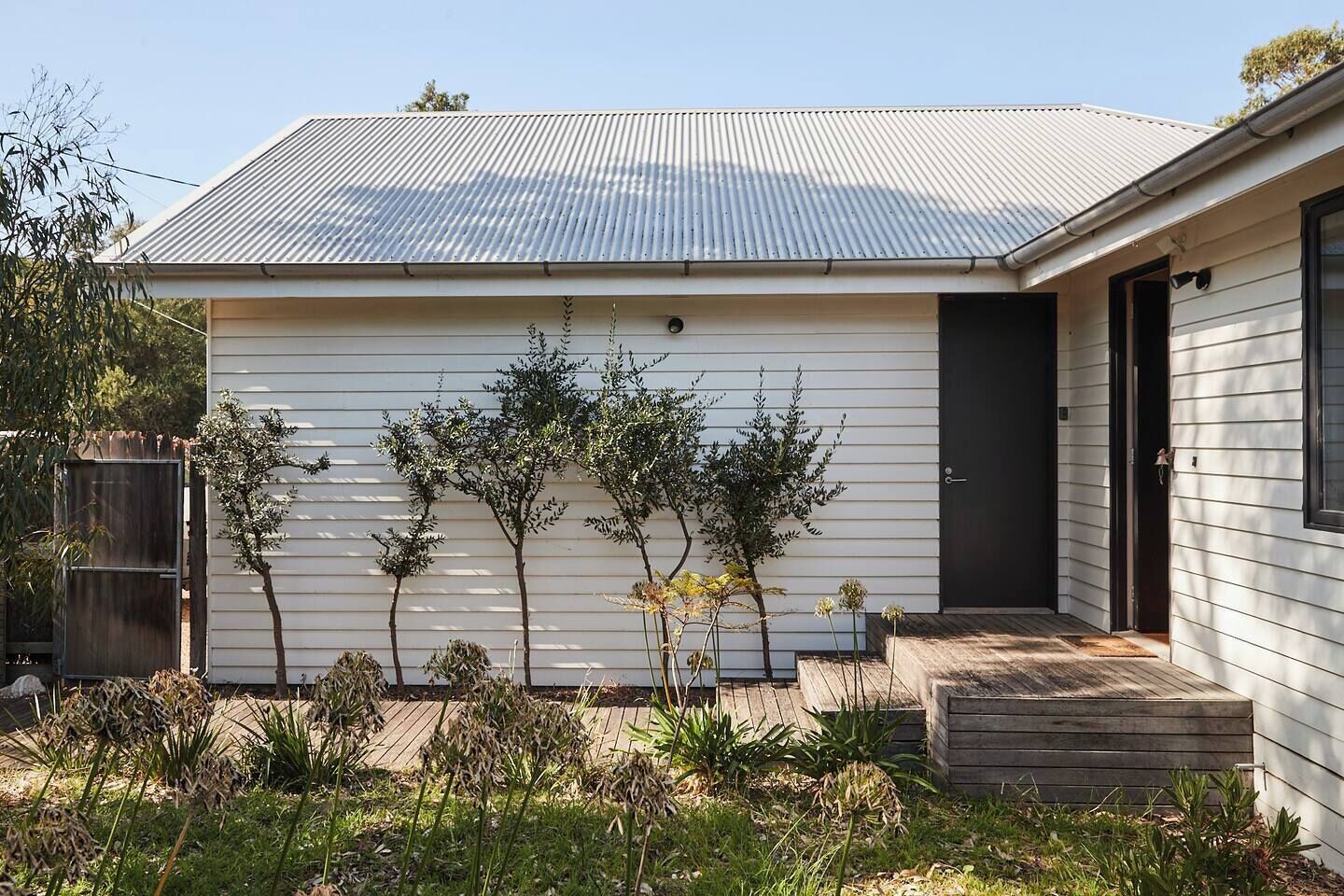 A modern house with a corrugated metal roof, a wooden deck, and a small garden with various plants.