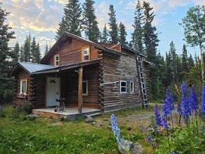 Exterior - Little House: 2 Bedroom 1.5 Bathroom on Authentic Homestead (Copper Center)