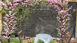 Un patio con una mesa redonda y dos sillas de madera, rodeado de un jardín con plantas florecientes rosadas y una cerca decorativa.