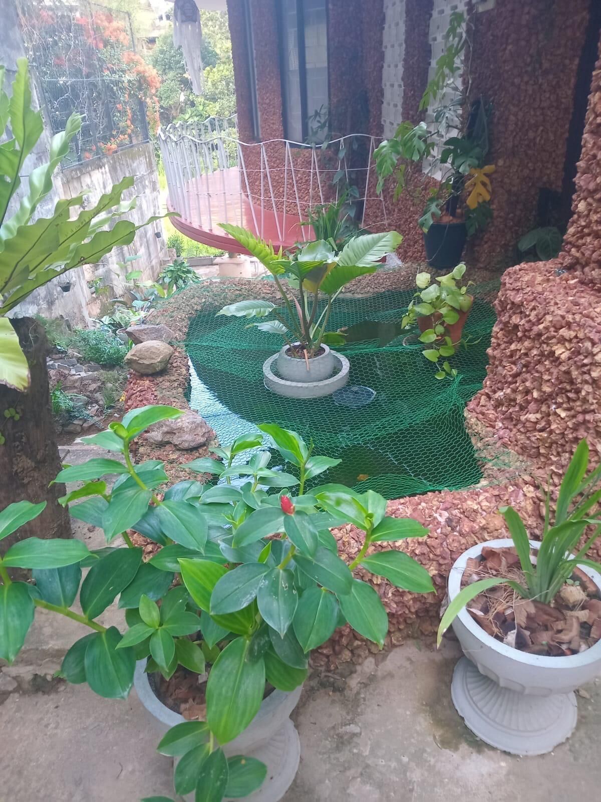 Zona ajardinada con plantas en macetas, superficie de malla verde y suelo de hormigón.
