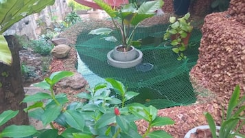 Zona ajardinada con plantas en macetas, superficie de malla verde y suelo de hormigón.