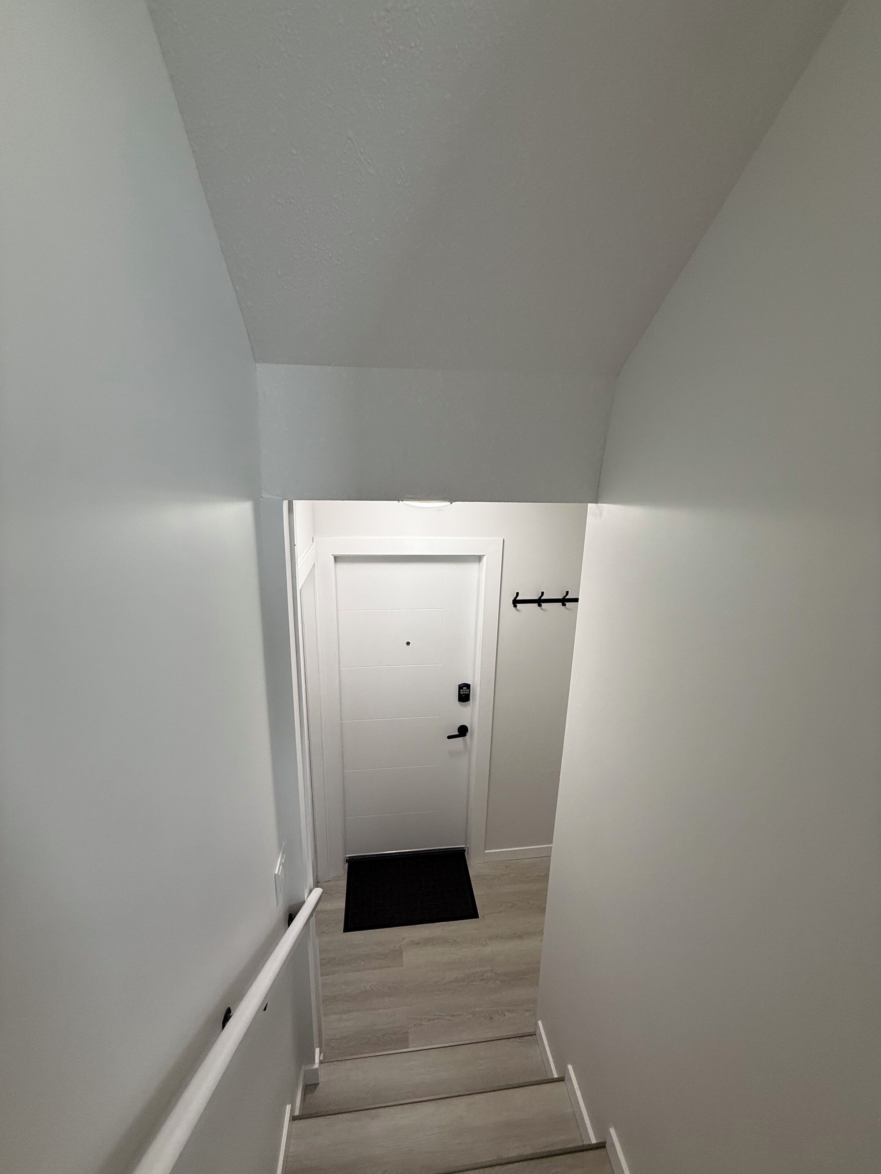 Un pasillo estrecho y bien iluminado con una puerta al final, un felpudo negro al pie y una pared blanca en un lateral.