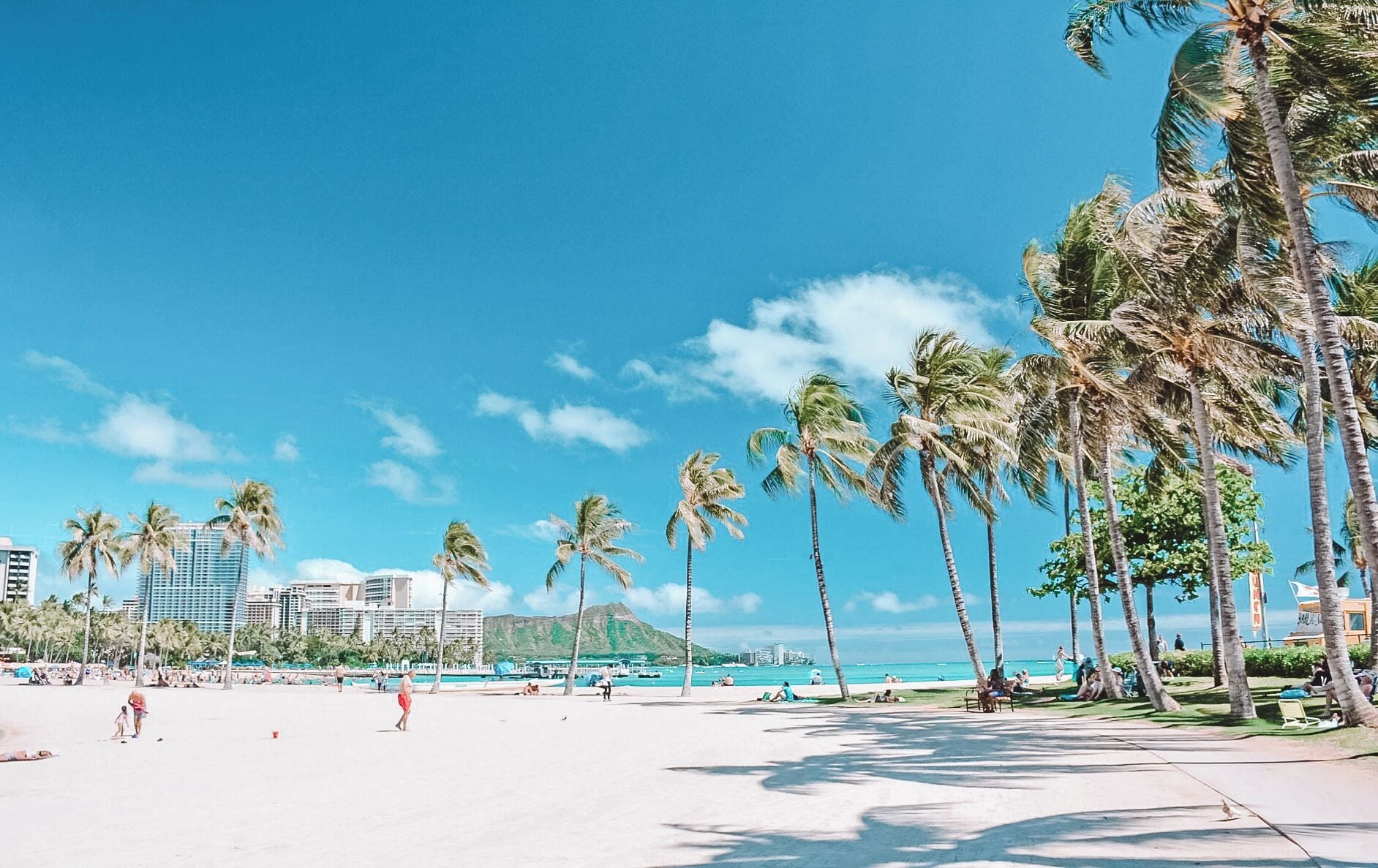 A beach with palm trees, a clear sky, and a distant mountain.