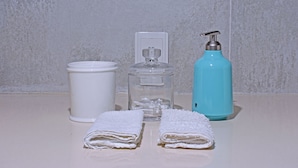 Hair dryer, towels, soap, toilet paper