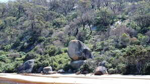 Un paisaje natural con un río, rocas grandes y vegetación densa.