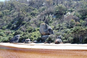 Eine natürliche Landschaft mit einem Fluss, großen Felsen und dichter Vegetation.