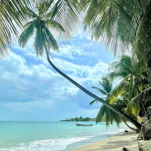 Une plage bordée de palmiers, un bateau et une île lointaine.