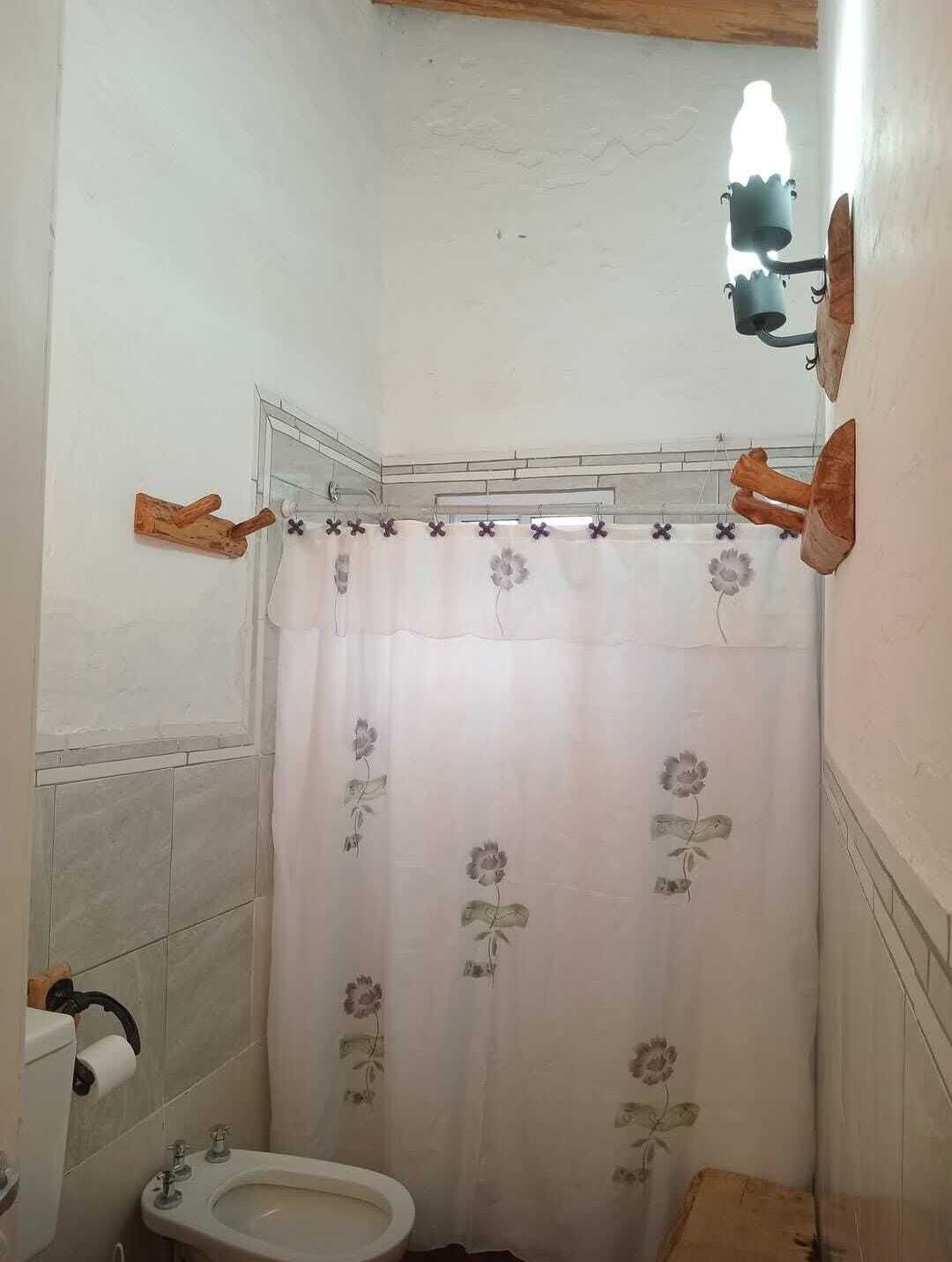 Shower, bidet, towels, soap