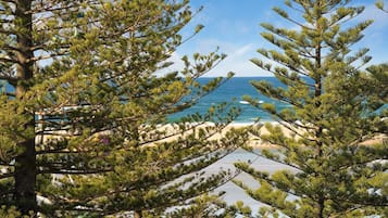 A coastal view with pine trees framing the scene.