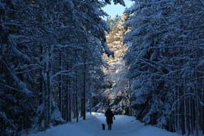 A snow-covered forest path with a person walking a dog. - Duplex for 8 people in the Aragonese Pyrenees. Just 5 minutes from Formigal-Panticosa! (Tramacastilla de Tena)