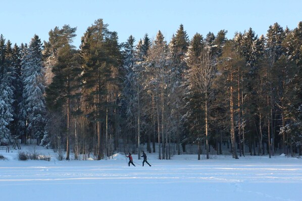 Wintersport/Ski