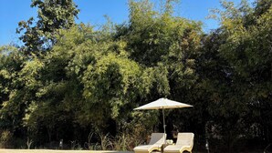 Une piscine entourée d’une végétation luxuriante, avec des chaises longues et un parasol.