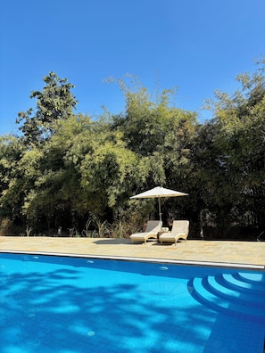 A swimming pool with lounge chairs and an umbrella, surrounded by dense foliage.