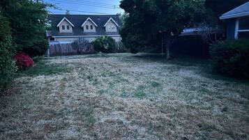 A residential backyard with a lawn, a wooden fence, and a house with a gabled roof.