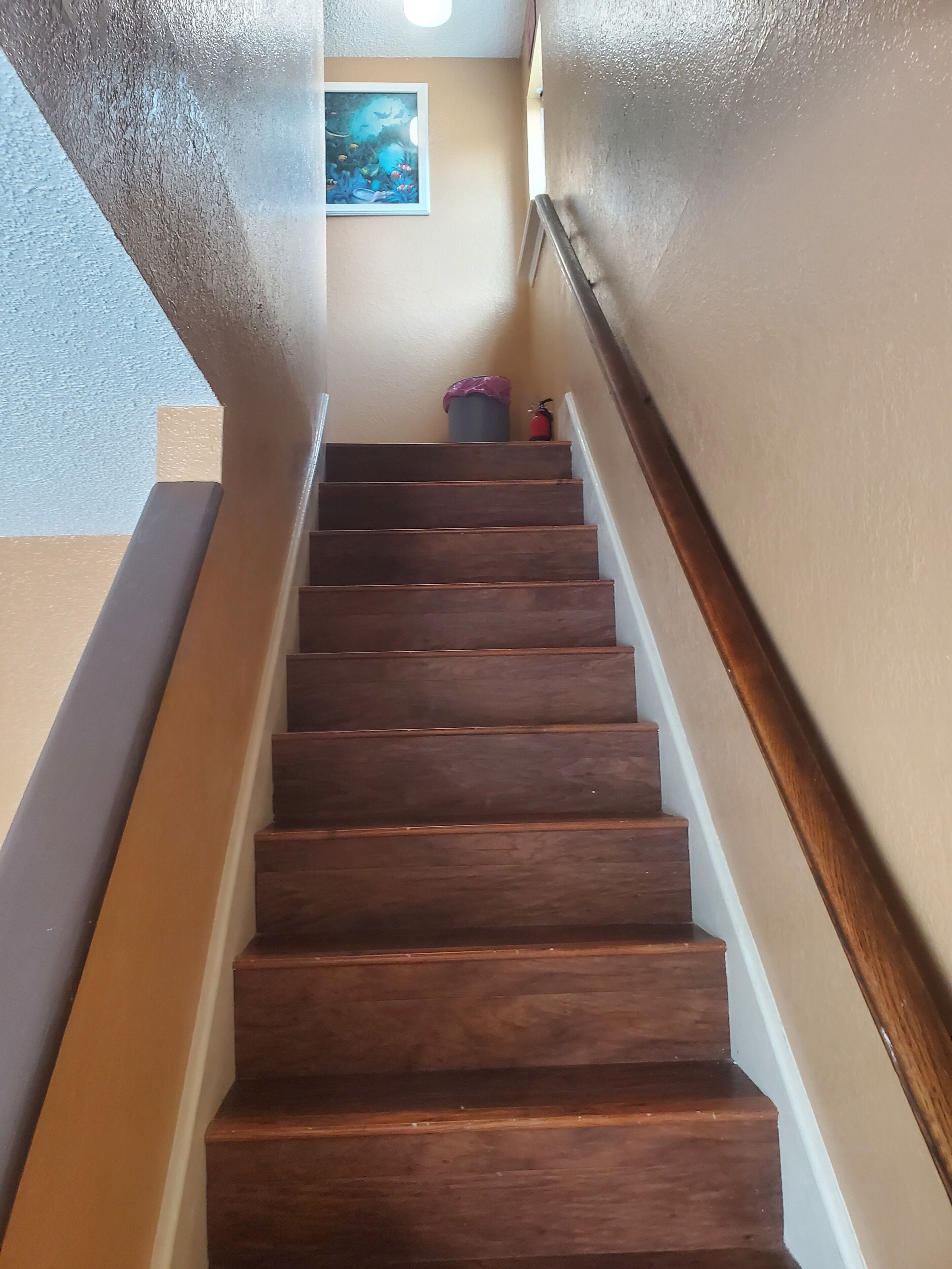 A wooden staircase with a handrail, a trash can, and a fire extinguisher on the wall.