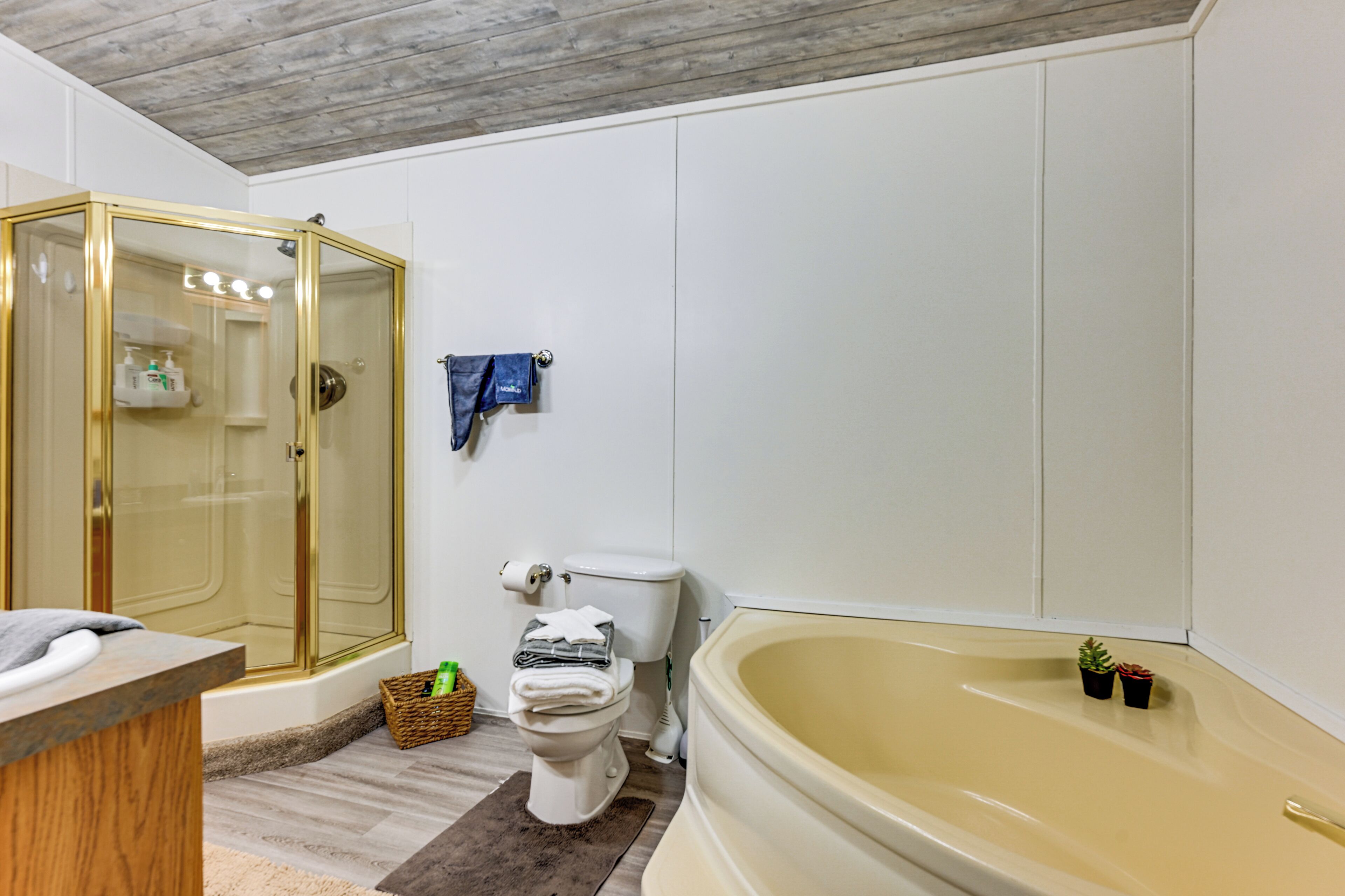 Ein Badezimmer mit Duschkabine, Toilette und Badewanne.